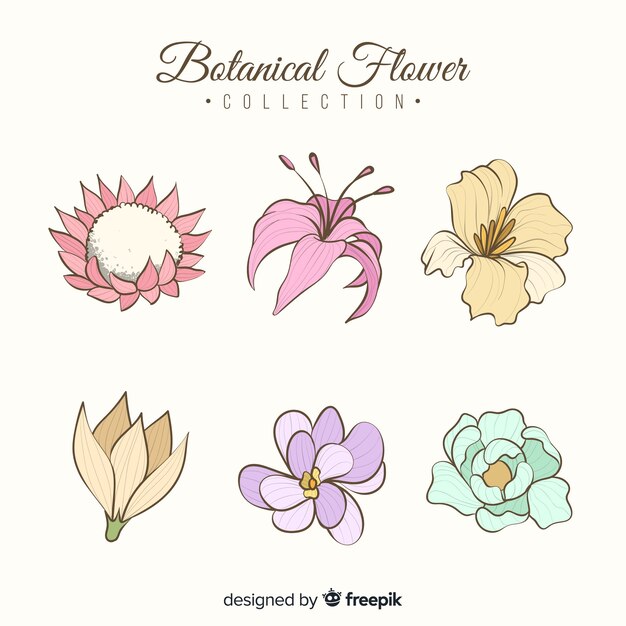 Colección de flores botánicas vintage
