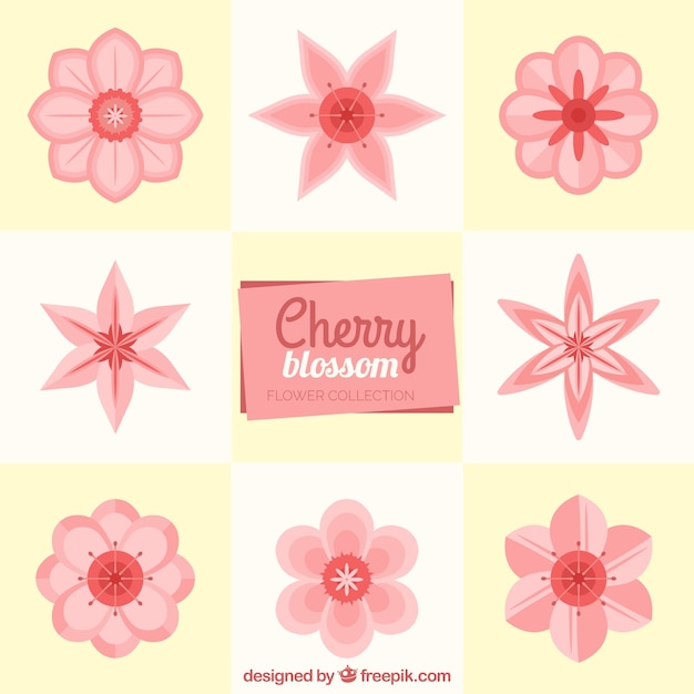 Vector gratuito colección de flores de cerezo en diseño plano