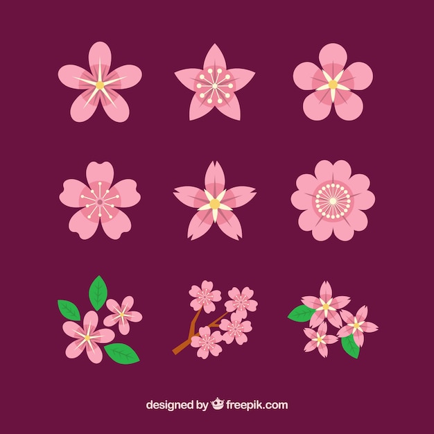 Vector gratuito colección de flores de cerezo con hojas