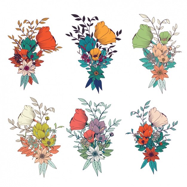 Colección de flores a color