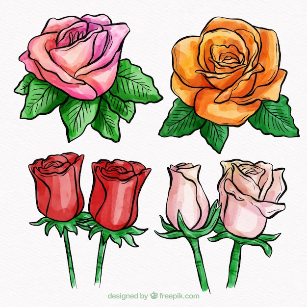 Vector gratuito colección de flores coloridas en estilo acuarela