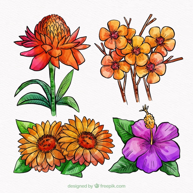 Vector gratuito colección de flores coloridas en estilo acuarela