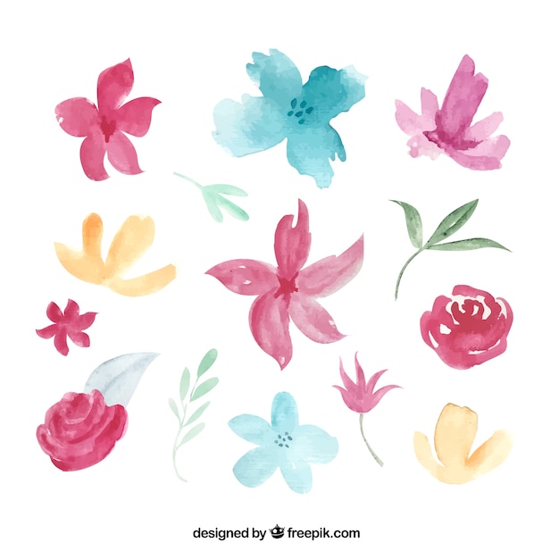 Colección de flores coloridas en estilo acuarela