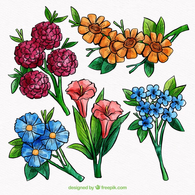 Colección de flores coloridas en estilo acuarela