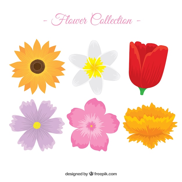 Vector gratuito colección de flores coloridas en estilo plano