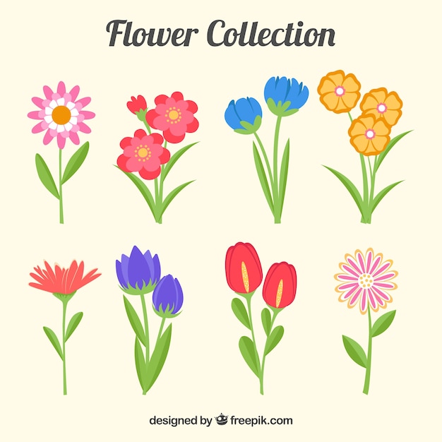 Colección de flores coloridas en estilo plano