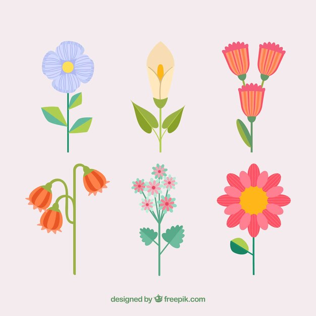 Colección de flores coloridas con tallo en estilo plano