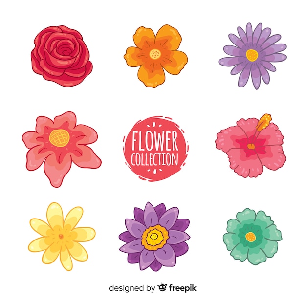 Vector gratuito colección flores coloridas