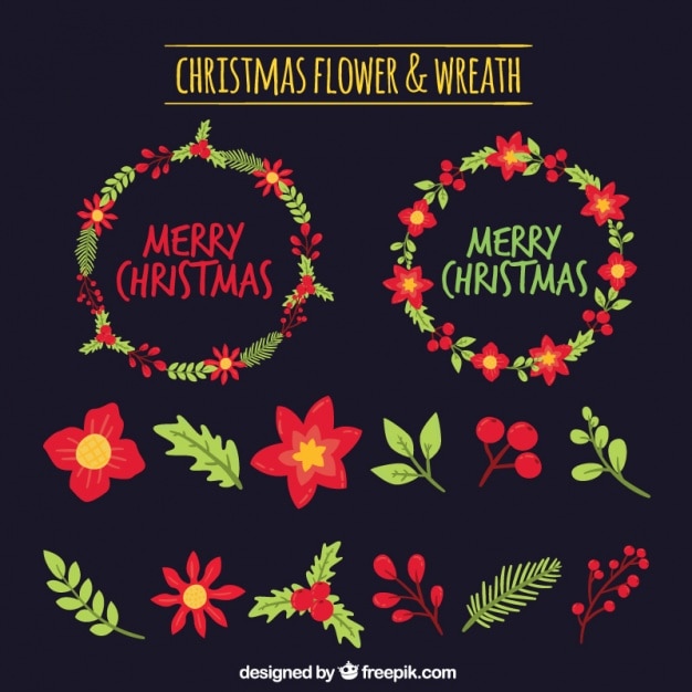 Colección de flores y coronas navideñas
