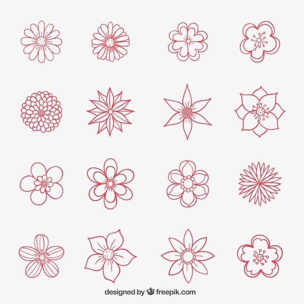 Colección de flores dibujadas a mano