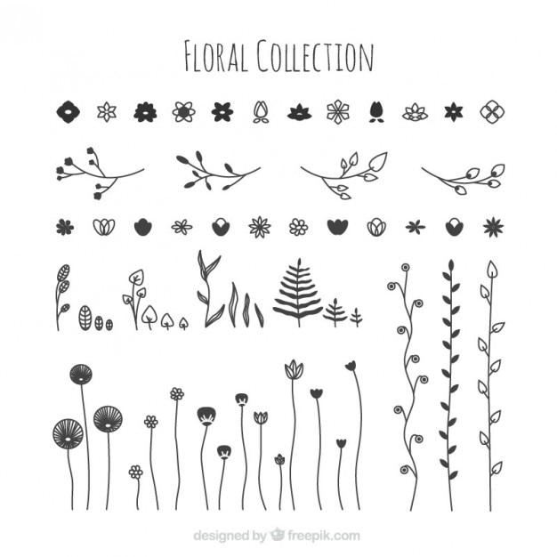 Vector gratuito colección de flores dibujadas a mano