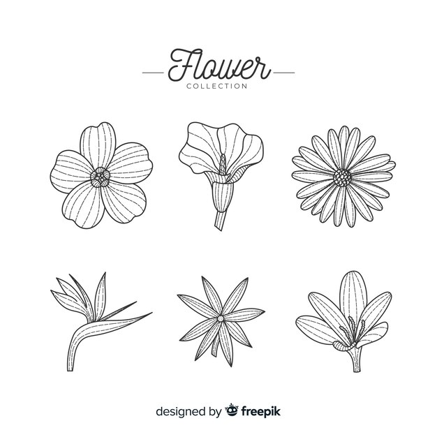 Colección de flores dibujadas a mano