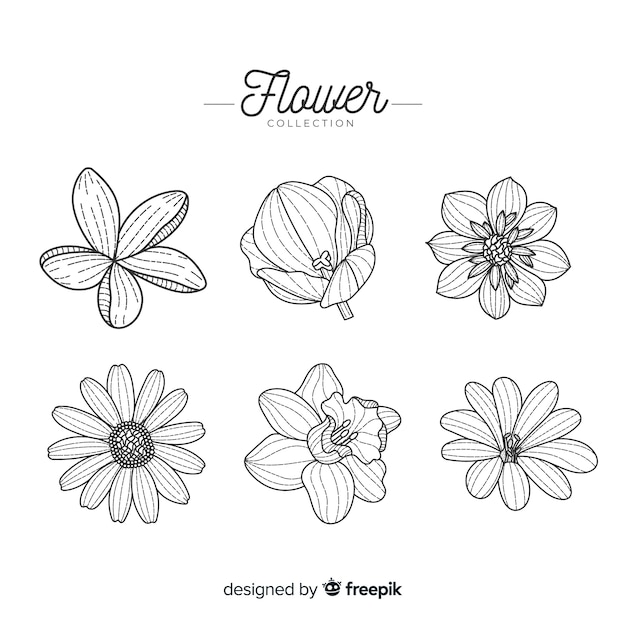 Colección de flores dibujadas a mano
