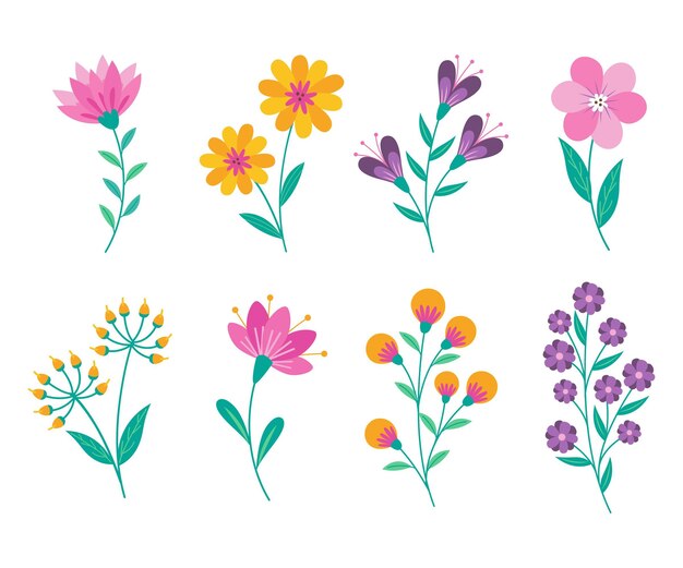 Colección de flores dibujadas a mano
