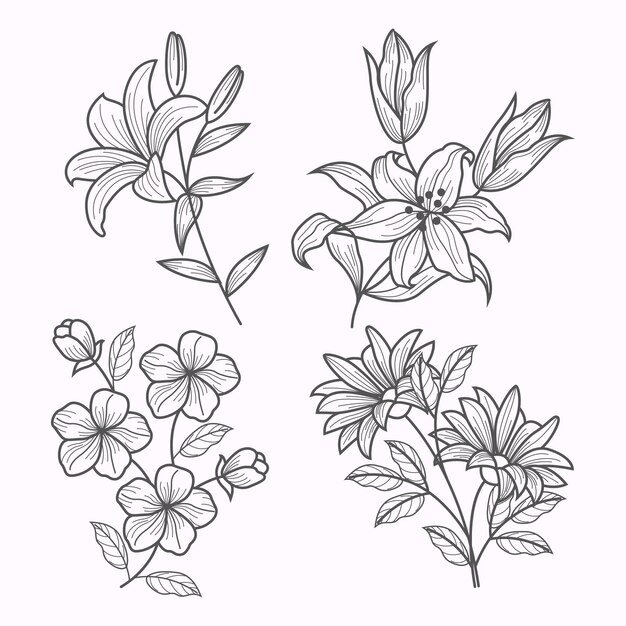 Colección de flores dibujadas a mano