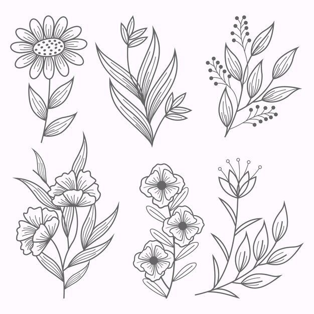 Colección de flores dibujadas a mano