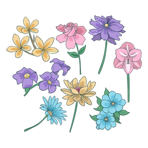 Colección flores dibujadas a mano