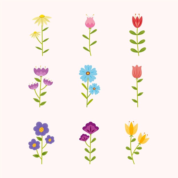 Colección de flores dibujadas a mano