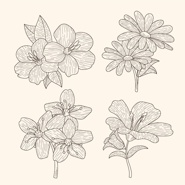 Colección de flores dibujadas a mano