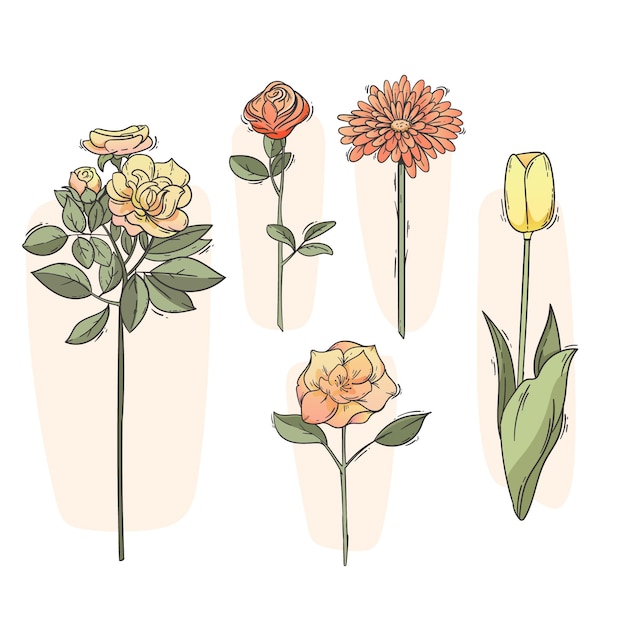 Colección de flores dibujadas a mano