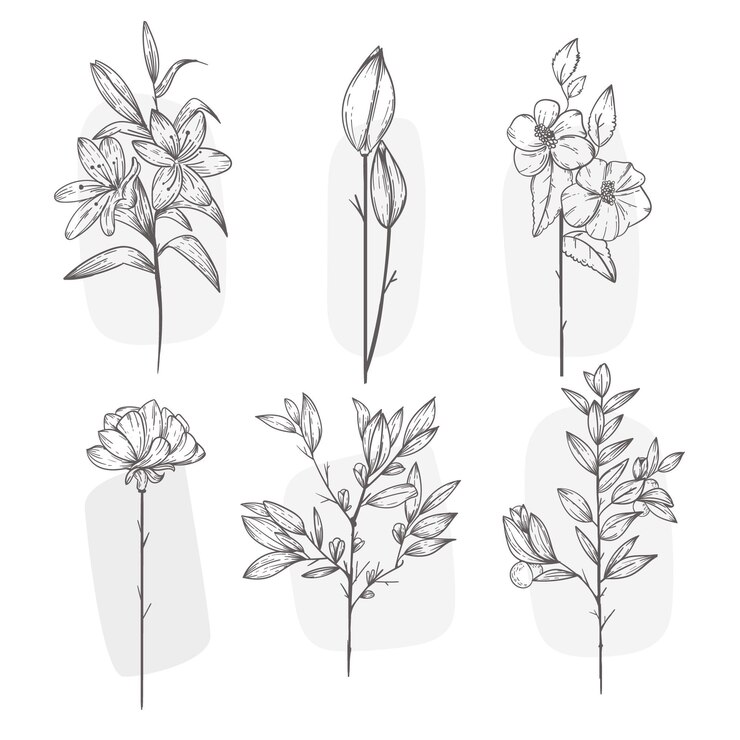 Vector gratuito colección de flores dibujadas a mano