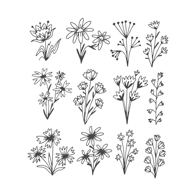 Colección de flores dibujadas a mano