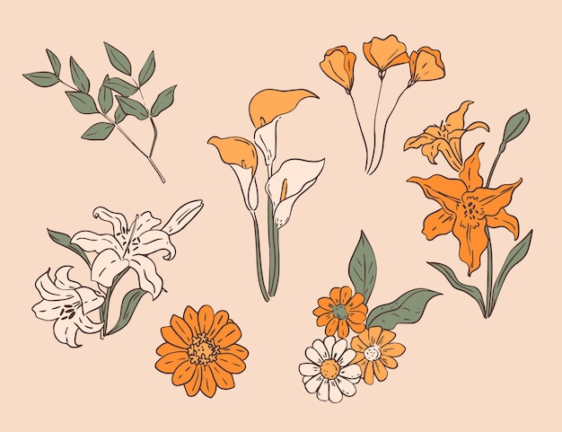 Colección de flores dibujadas a mano