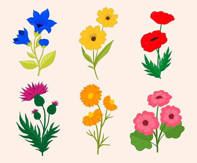 Colección de flores dibujadas a mano