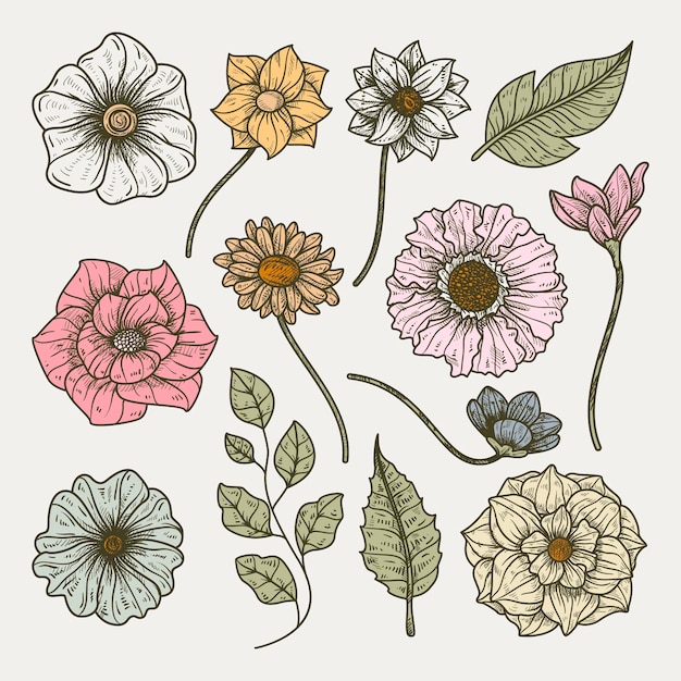 Colección de flores dibujadas a mano