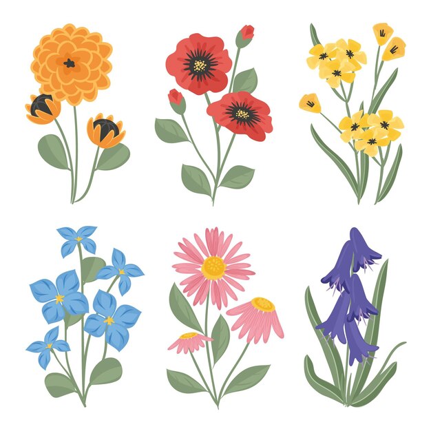 Colección de flores dibujadas a mano