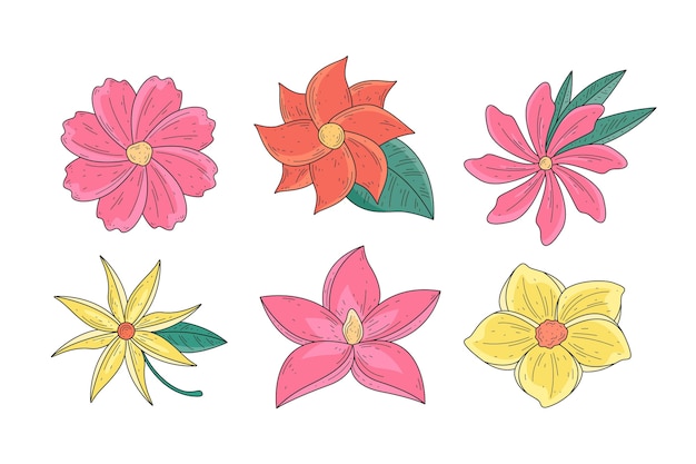 Colección de flores dibujadas a mano