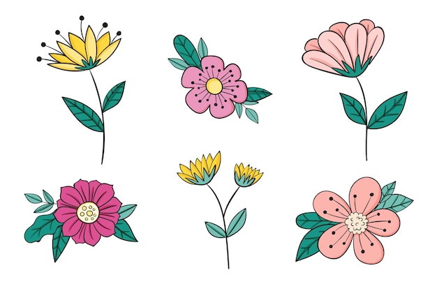 Colección de flores dibujadas a mano
