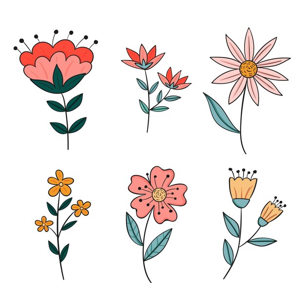 Colección de flores dibujadas a mano