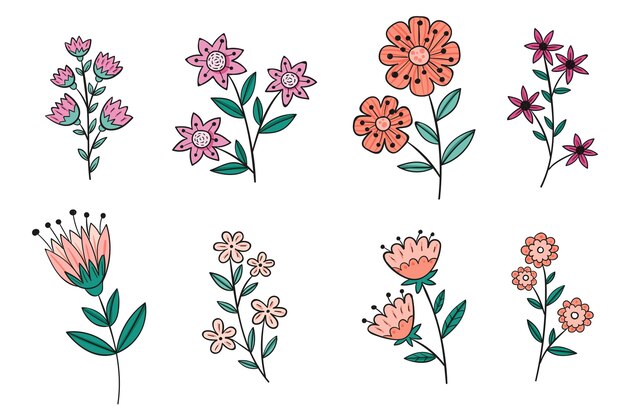 Colección de flores dibujadas a mano