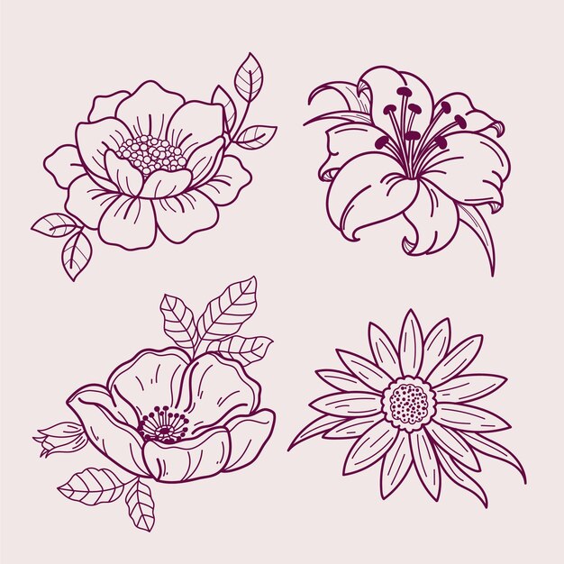 Colección de flores dibujadas a mano