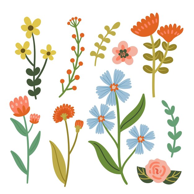 Colección de flores dibujadas a mano