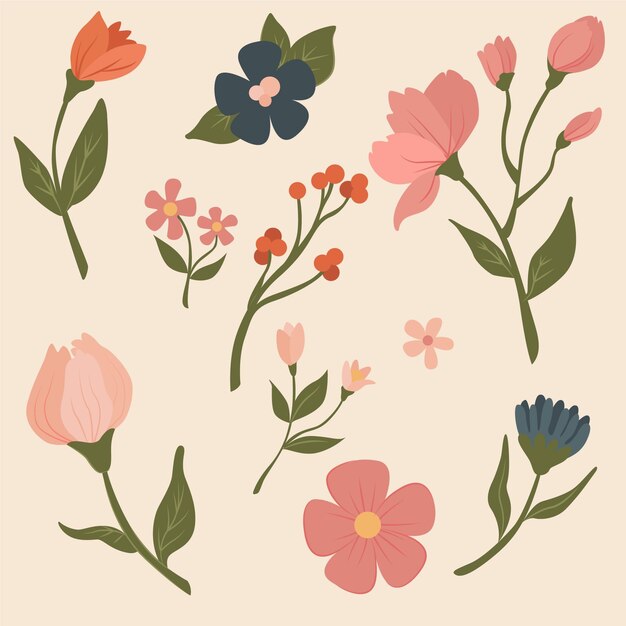 Colección de flores dibujadas a mano