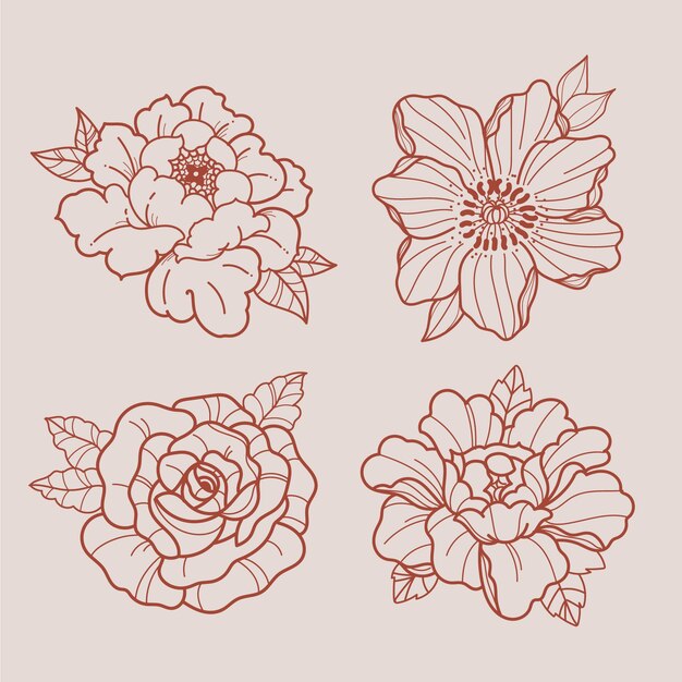 Colección de flores dibujadas a mano