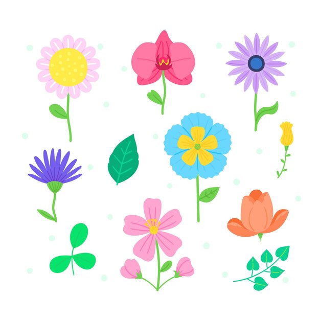 Colección de flores dibujadas a mano