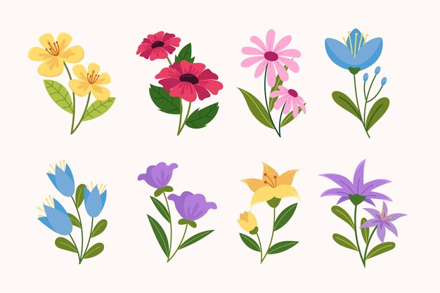 Colección de flores dibujadas a mano