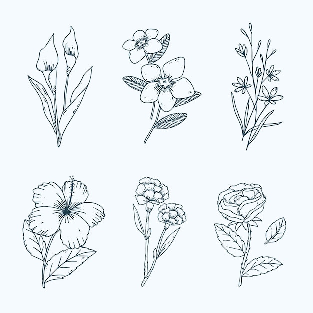 Vector gratuito colección de flores dibujadas a mano