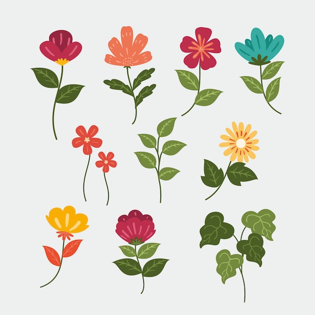 Colección de flores dibujadas a mano