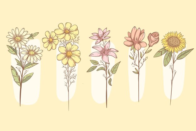Colección de flores dibujadas a mano