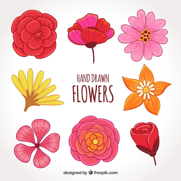 Colección de flores en estilo dibujado a mano
