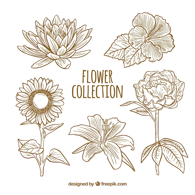 Vector gratuito colección de flores en estilo hecho a mano