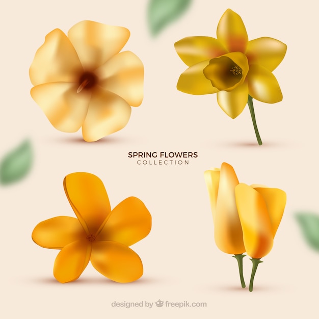Colección de flores en estilo realista