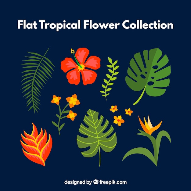 Vector gratuito colección de flores en estilo tropical