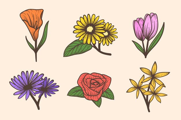 Colección de flores grabadas dibujadas a mano