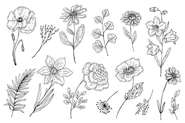 Colección de flores grabadas dibujadas a mano