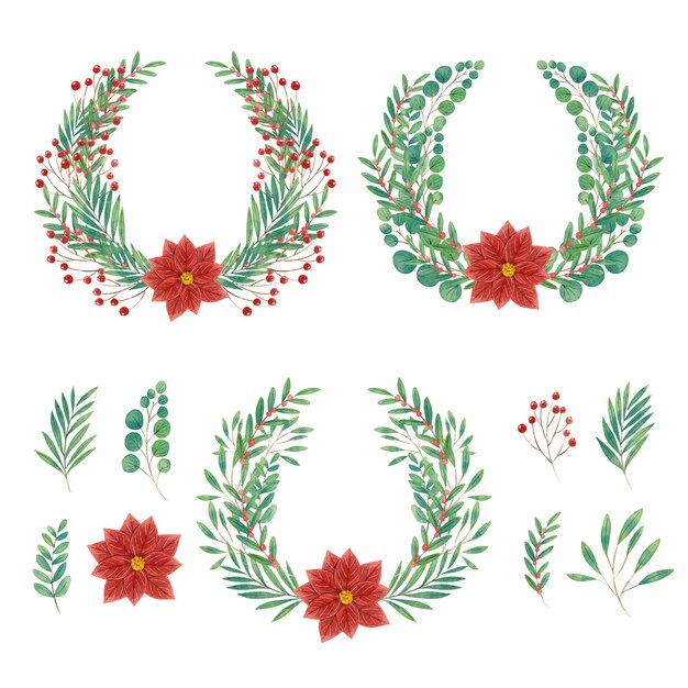 Colección de flores y guirnaldas de navidad en acuarela